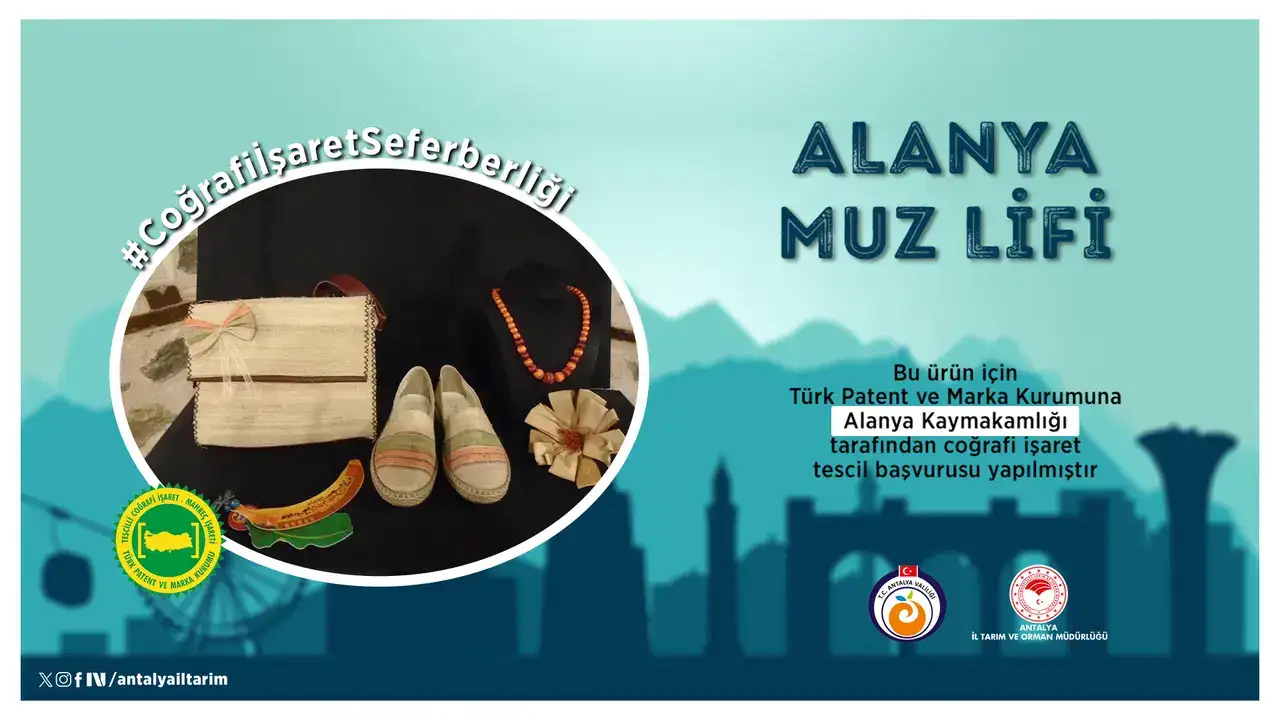 Alanya Muz Lifi Coğrafi İşaret Yolunda 2